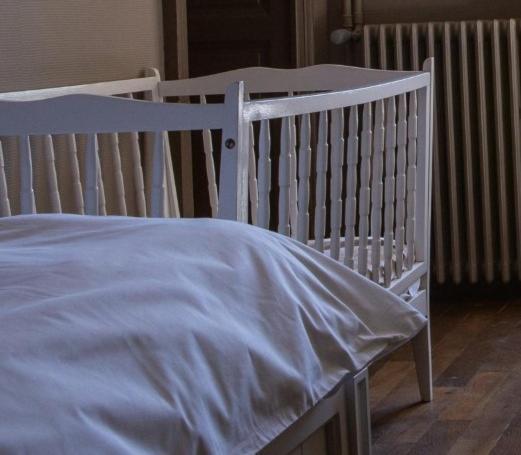 Chateau De Planchevienne Bed & Breakfast Magny-Cours