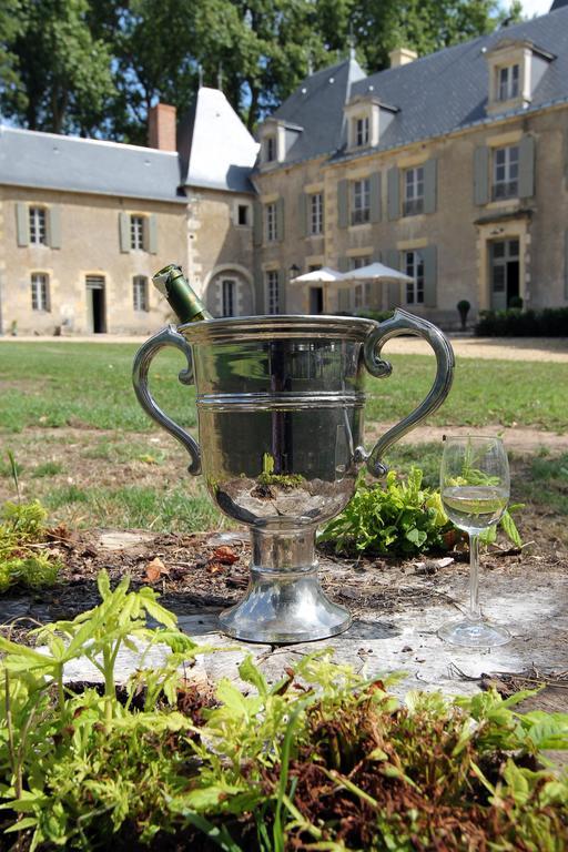 Chateau De Planchevienne